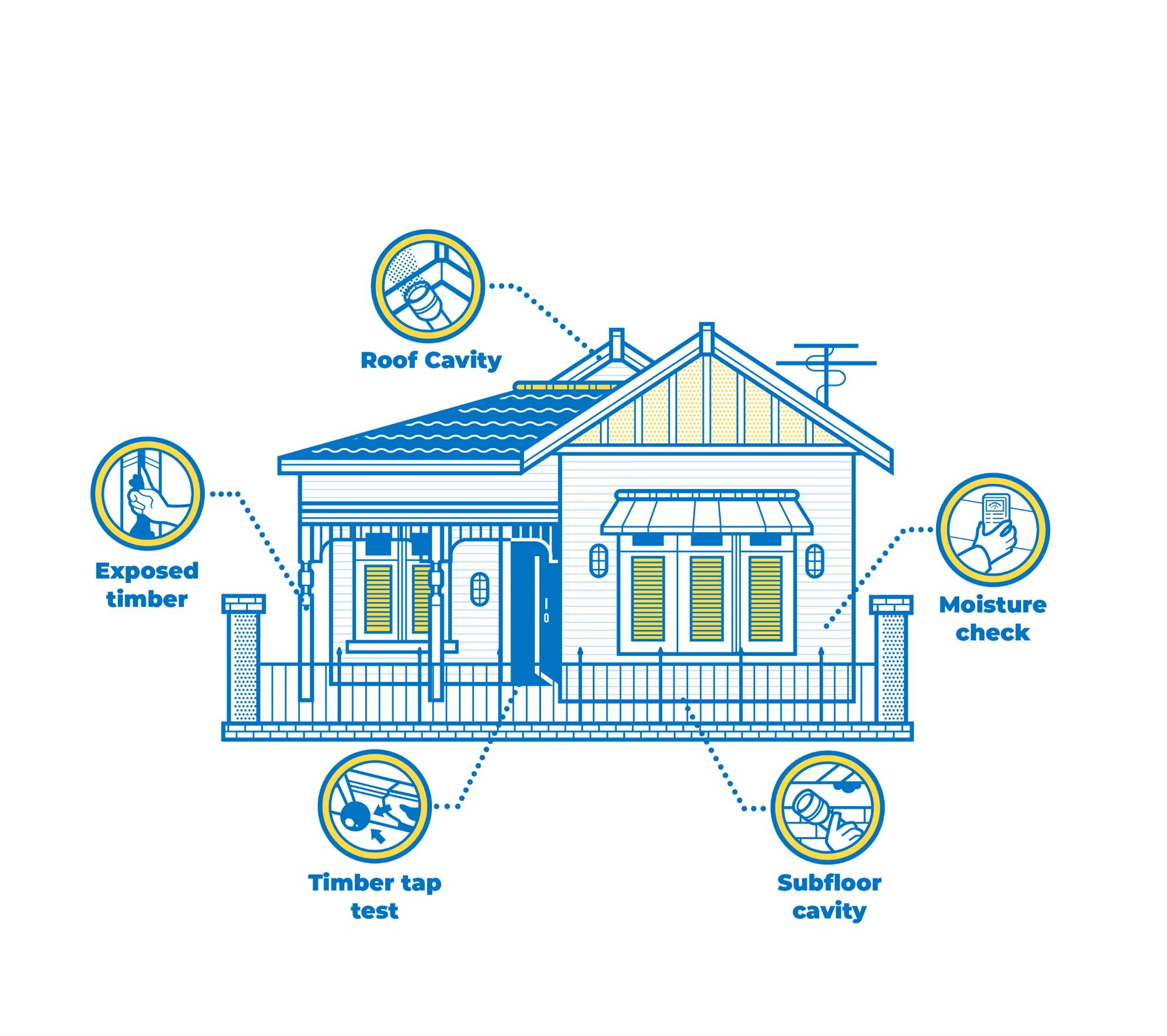Termite inspection and treatment Canberra